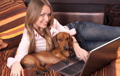 Finding Discount Pet Supplies Online