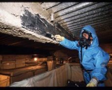 The process of professional Asbestos Removal – A need and not a want!