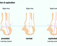 Pronation And Supination Whats All That About