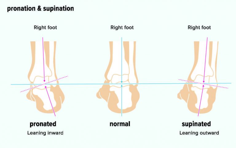 Pronation And Supination Whats All That About - Ariki Holidays