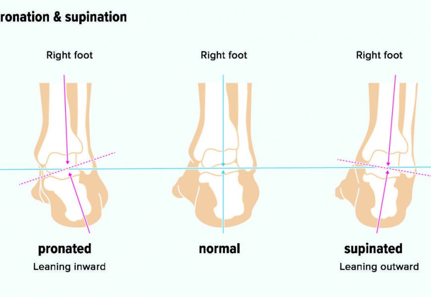 Pronation And Supination Whats All That About