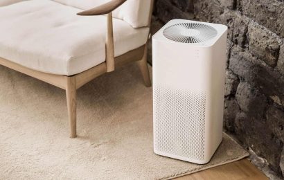 Things To Consider Before Getting An Air Purifier!