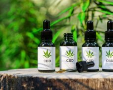 Tips on How to Choose the Right CBD Product; More Consumption and Less Wastage