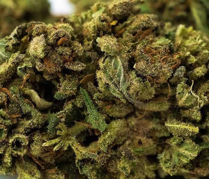 Why People Choose To Smoke CBD Flowers, And What Benefits Does It Offers?