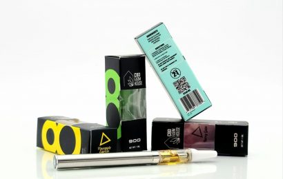 An Ideal Guide To Using Vape Pens