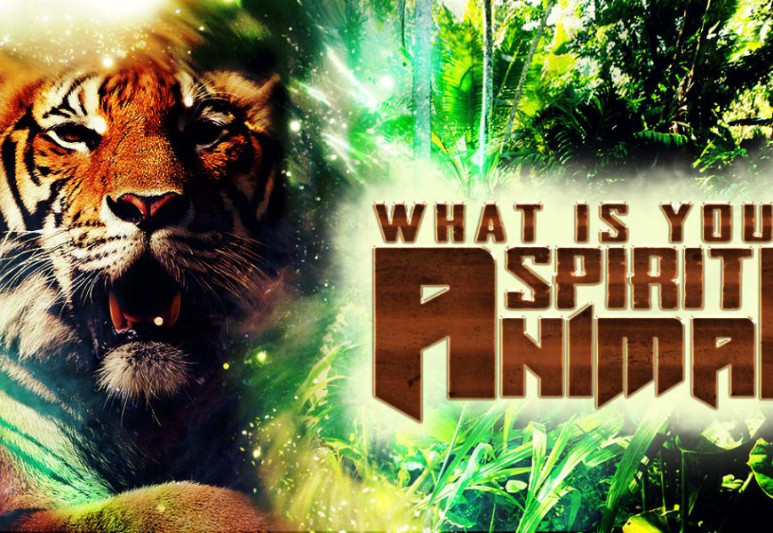 What Really Animal Spirit Is? Everything You Need To Know