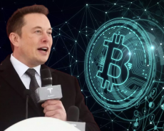 Elon Musk Will Have To Flip Spacexs Inventory Right Into A Cryptocurrency