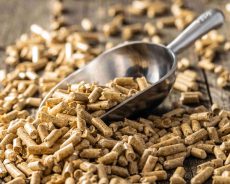 Unlocking the Potential: The Advantages of Pellet Feed for Livestock