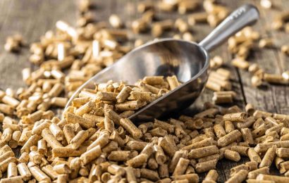 Unlocking the Potential: The Advantages of Pellet Feed for Livestock