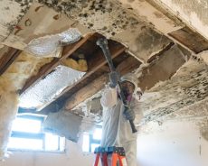 Top Trusted Mold Companies Committed To Delivering Quality Service