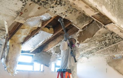 Top Trusted Mold Companies Committed To Delivering Quality Service